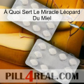 À Quoi Sert Le Miracle Léopard Du Miel 17